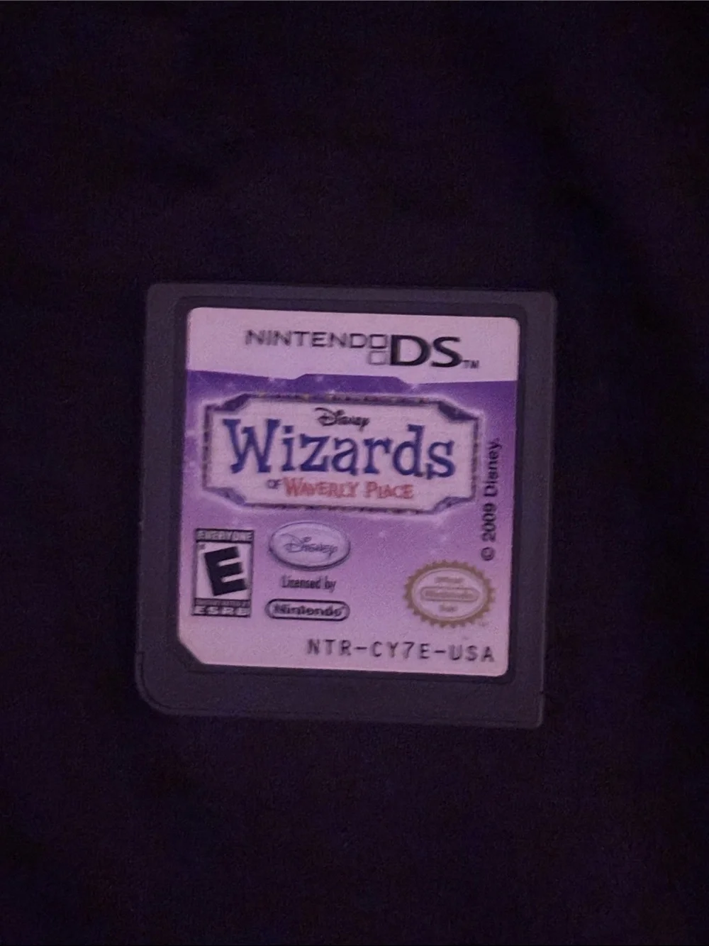 Nintendo DS games